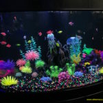 Glo Fish display aquarium