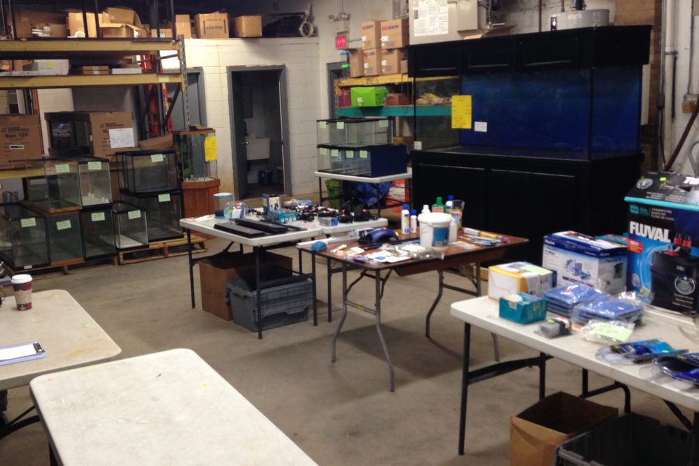 Used Aquarium Equipment Sale